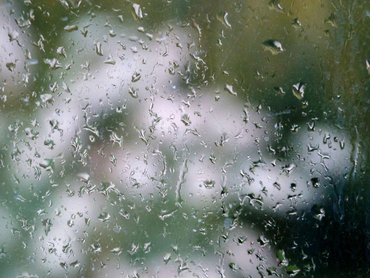 Water droplets on glass illustrating humidity effects on vacuum bag seal integrity